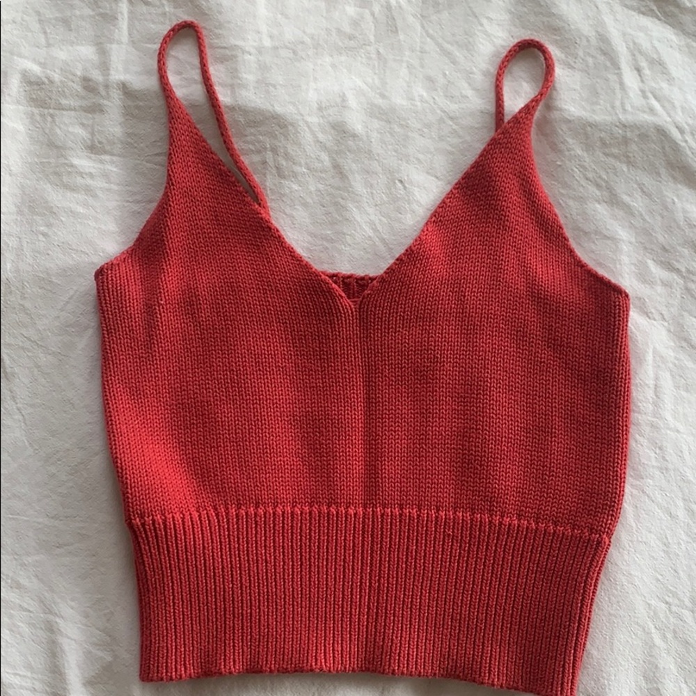 Brandy Melville Crop Top